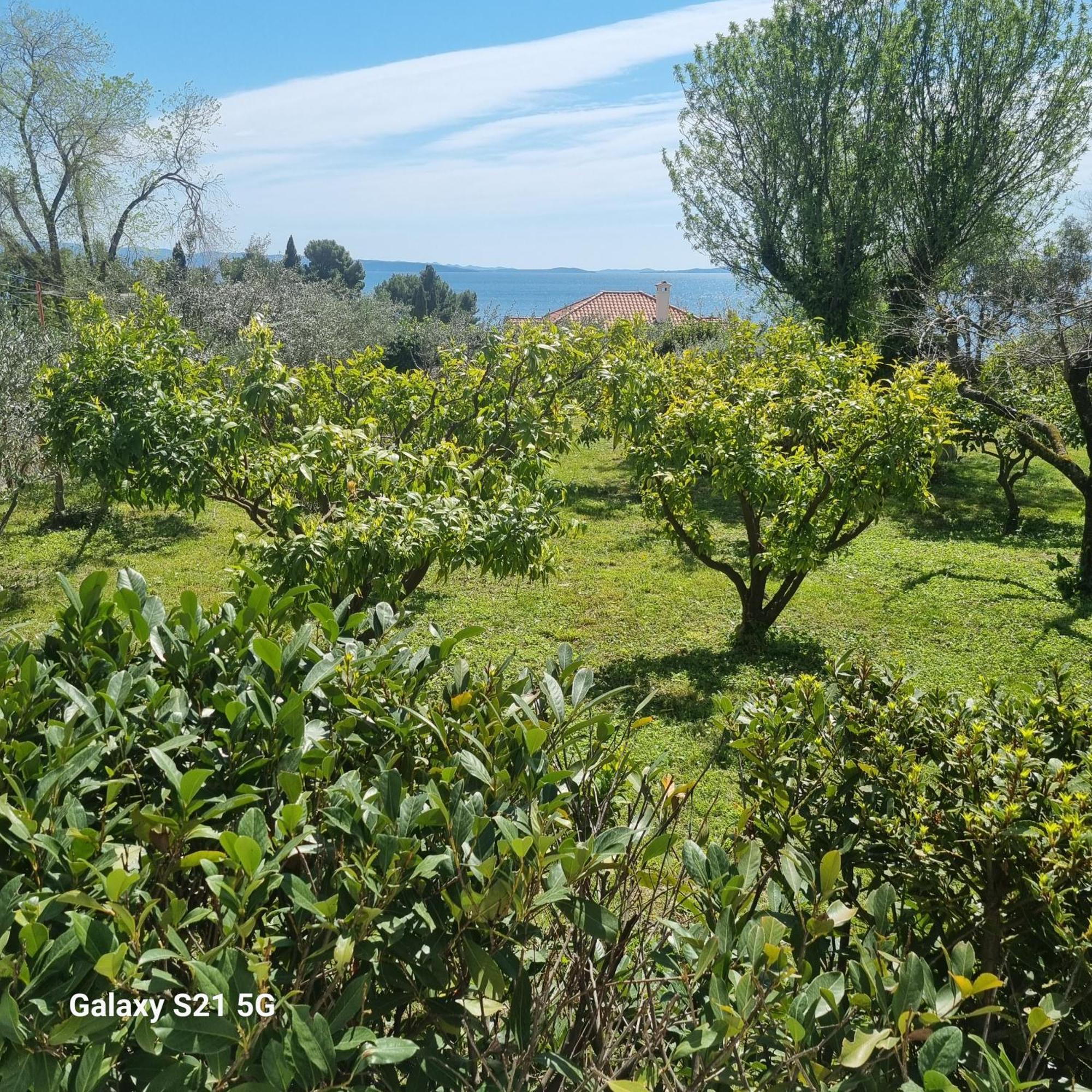 Apartment Green Oasis Split Dış mekan fotoğraf